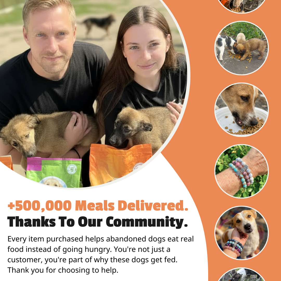 Prayer FM Emerald Adjustable Charity Bracelet for Dog Rescue